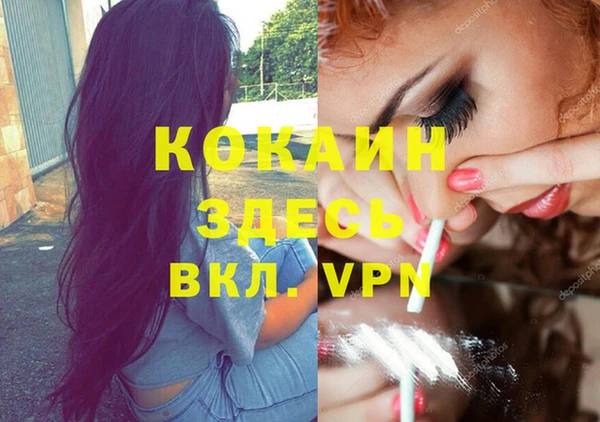 стафф Вяземский