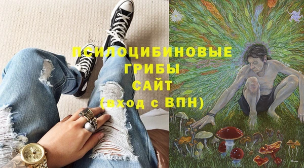 МДПВ Вязники