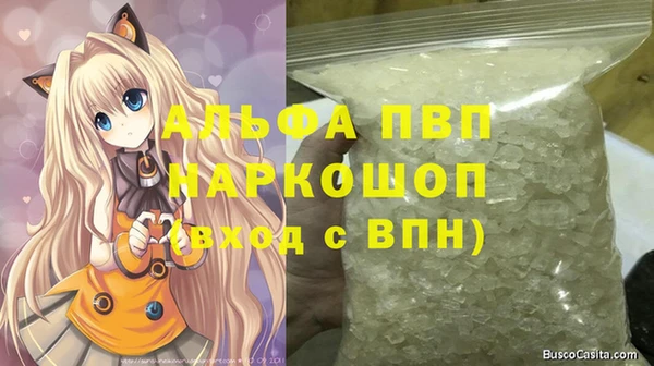 стафф Вяземский