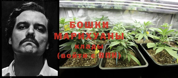 стафф Вяземский