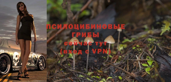 МДПВ Вязники
