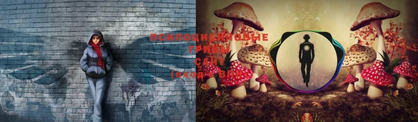 МДПВ Вязники
