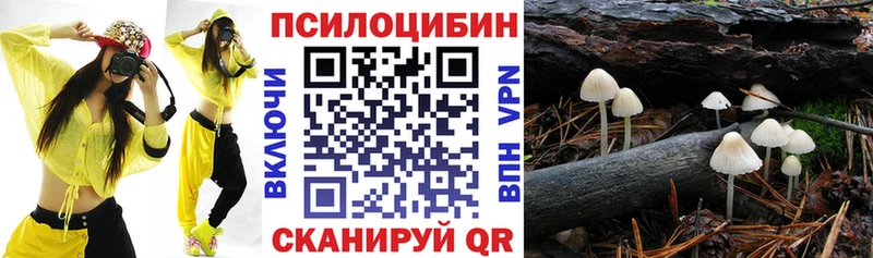 Галлюциногенные грибы мухоморы Тверь